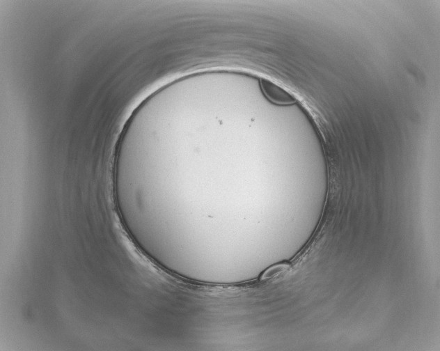 X0000115631534200912011430