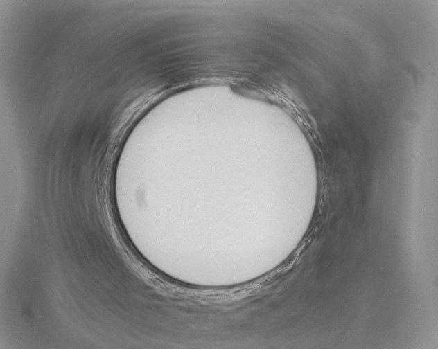 X0000115630001200912081053