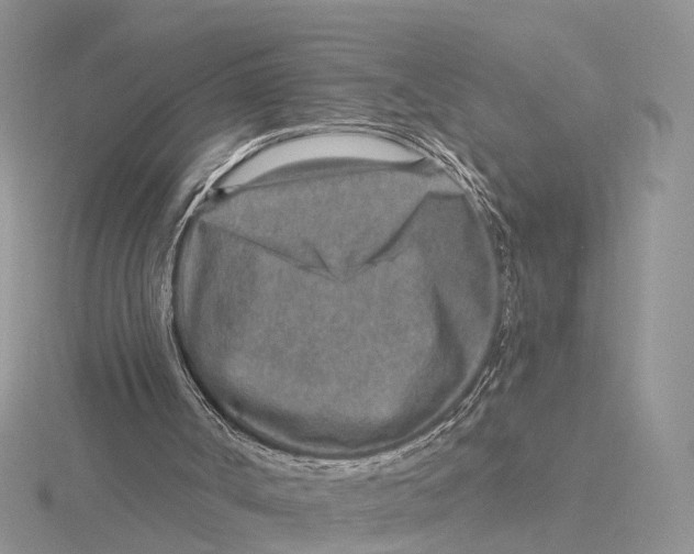 X0000115630002200912081053