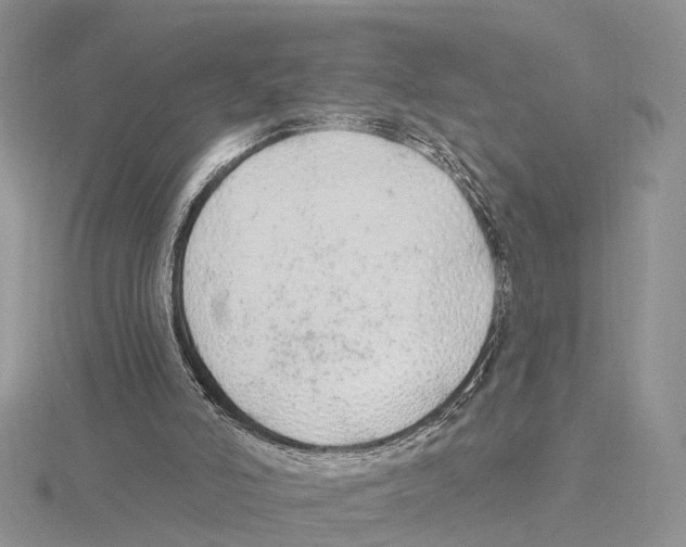X0000115630006200912081053