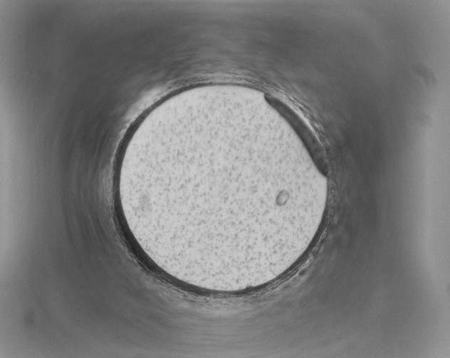 X0000115630008200912081053