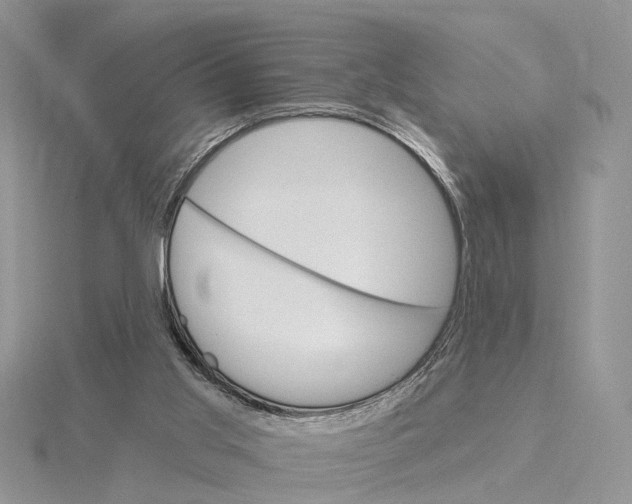 X0000115630013200912081053