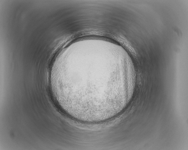 X0000115630014200912081053