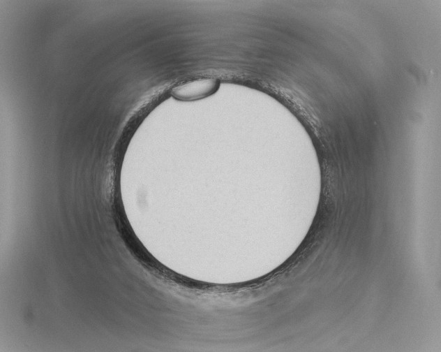 X0000115630016200912081053