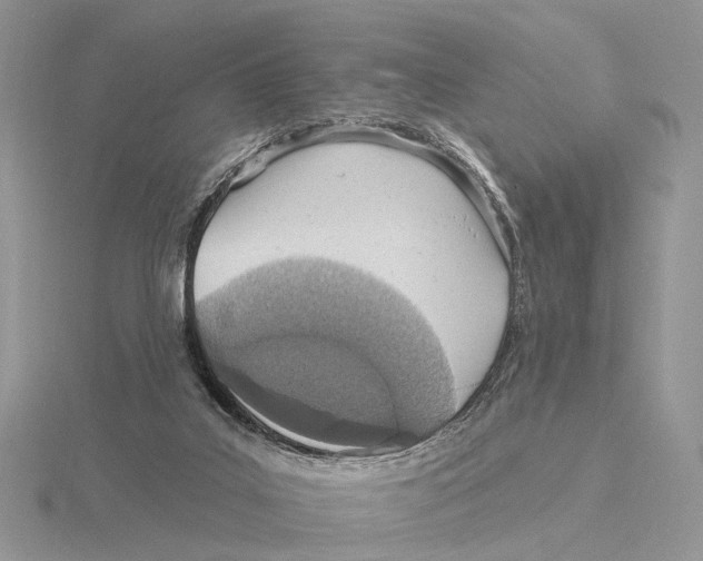 X0000115630019200912081053