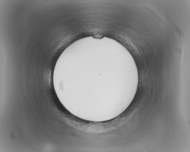 X0000115630024200912081053