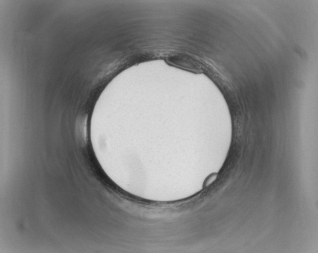 X0000115630028200912081053
