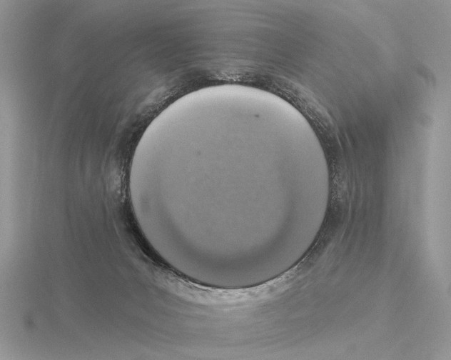 X0000115630031200912081053