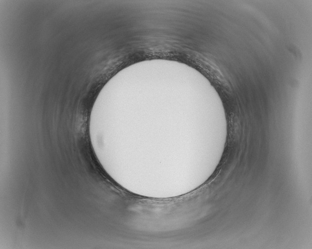 X0000115630033200912081053