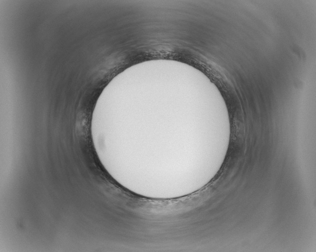 X0000115630037200912081053