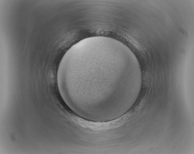 X0000115630039200912081053