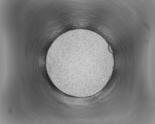 X0000115630040200912081053