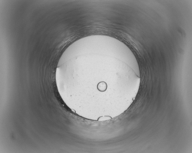 X0000115630043200912081053
