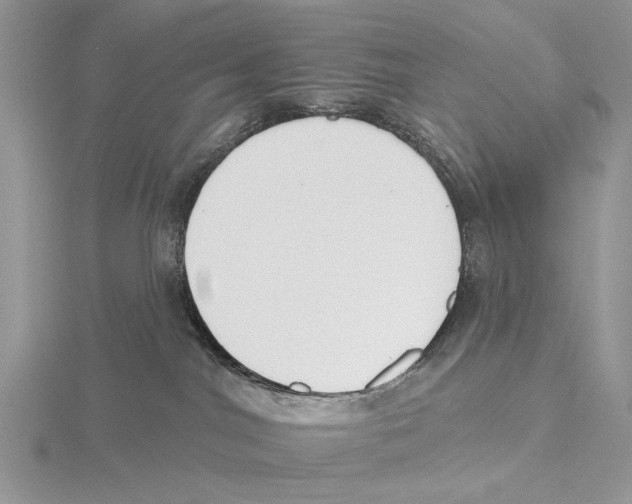 X0000115630044200912081053