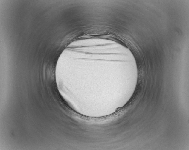 X0000115630046200912081053