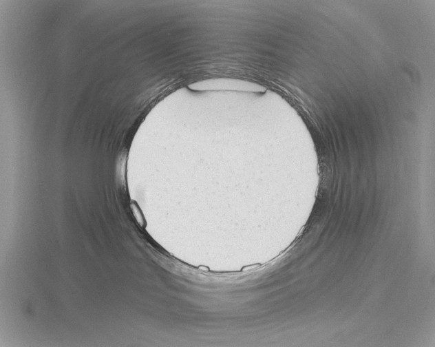 X0000115630047200912081053