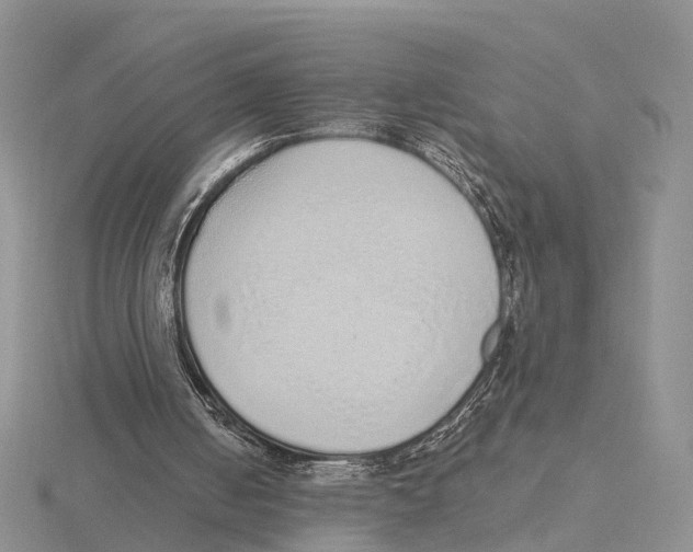 X0000115630050200912081052