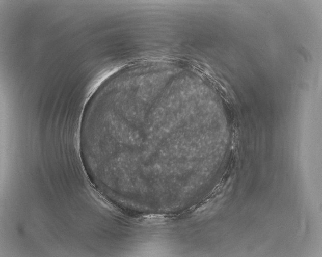 X0000115630052200912081052