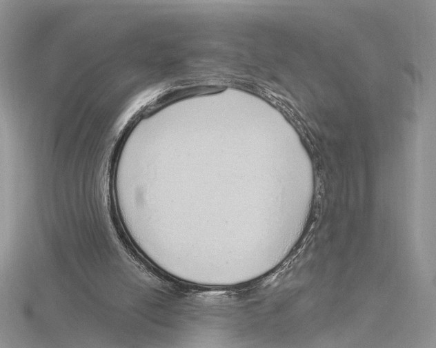 X0000115630054200912081052