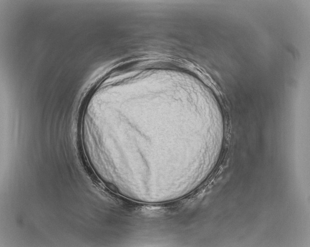 X0000115630055200912081052