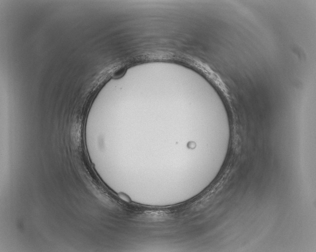 X0000115630057200912081052
