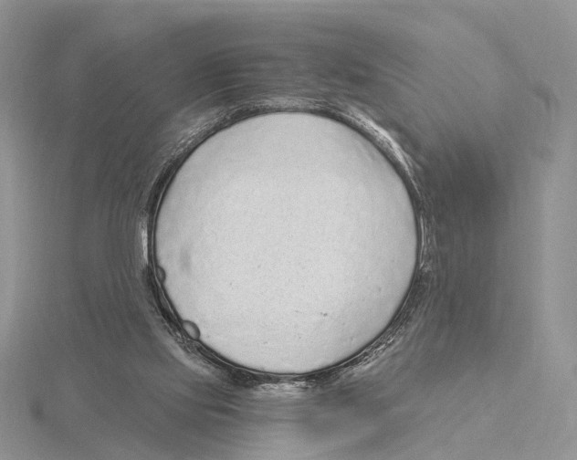 X0000115630061200912081052