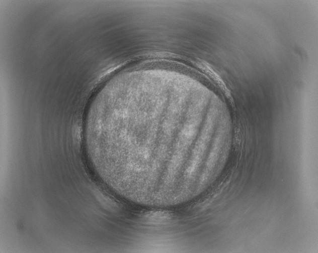 X0000115630063200912081052