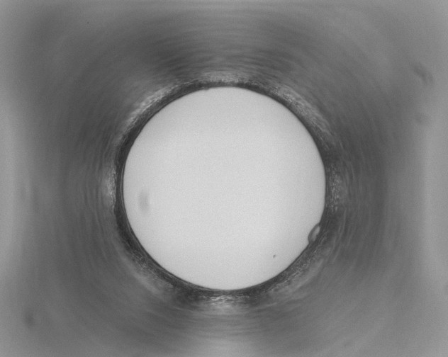 X0000115630064200912081052