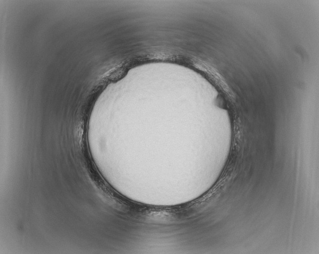 X0000115630066200912081052