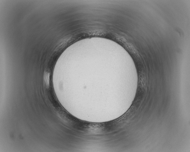 X0000115630070200912081052