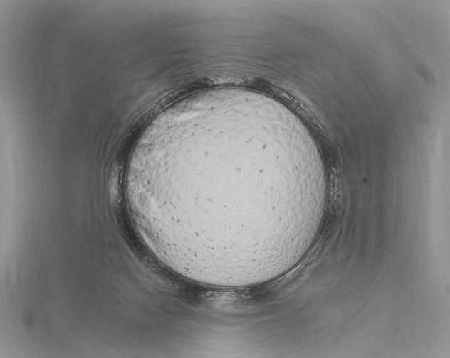 X0000115630074200912081052