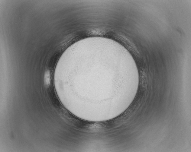 X0000115630075200912081052