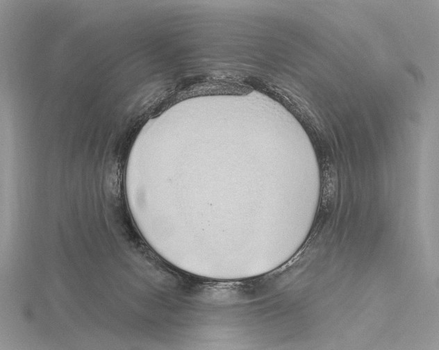 X0000115630078200912081052