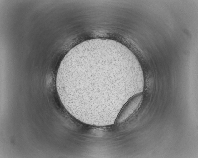 X0000115630079200912081052
