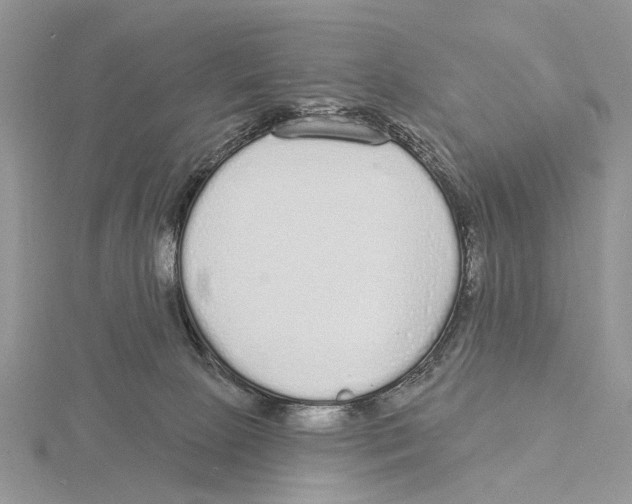 X0000115630081200912081052