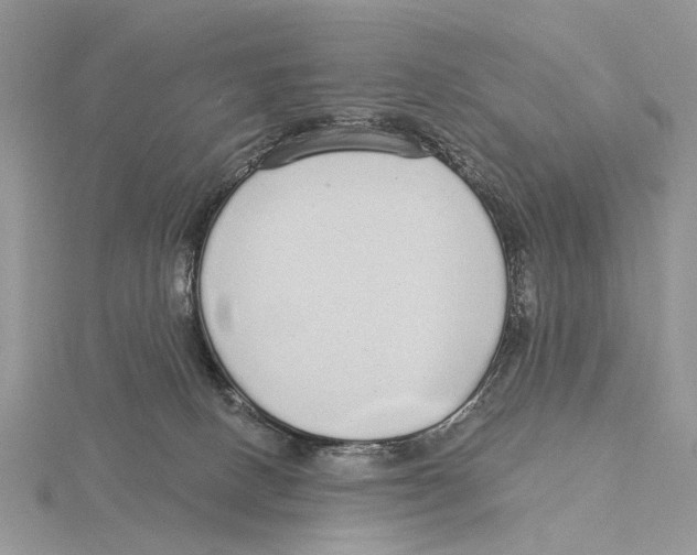 X0000115630082200912081052