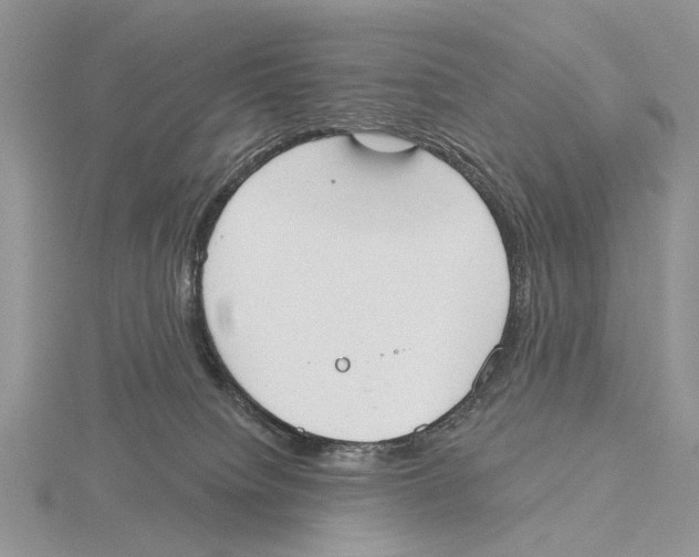 X0000115630084200912081052