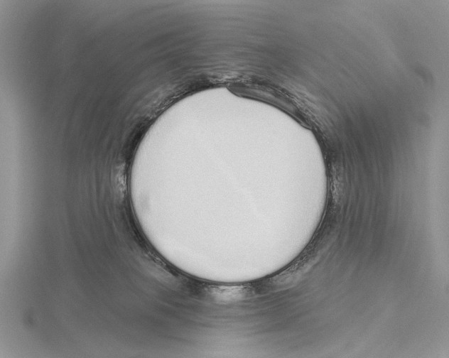 X0000115630085200912081052
