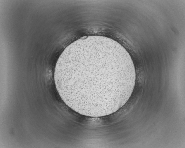 X0000115630087200912081052