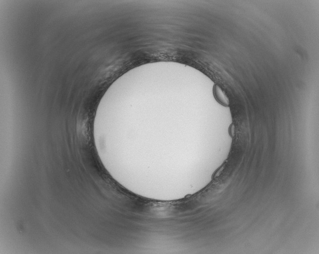 X0000115630088200912081052