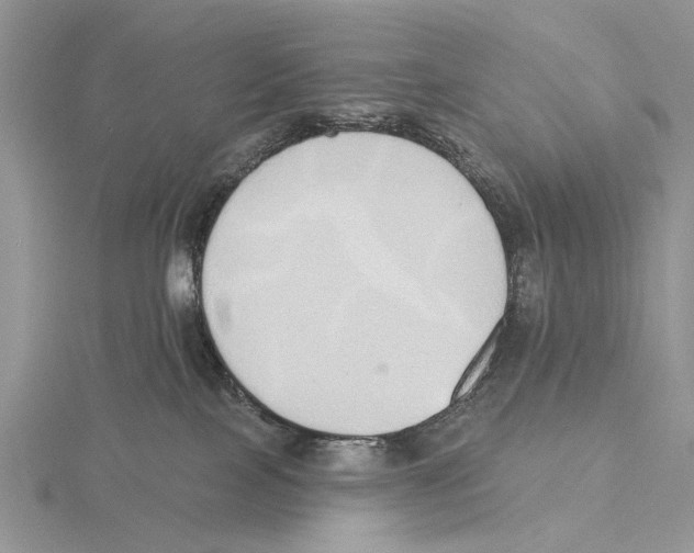 X0000115630089200912081052