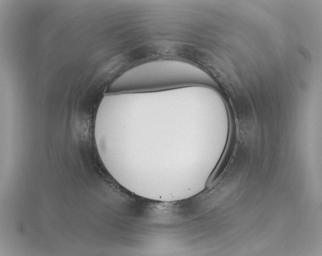 X0000115630092200912081052