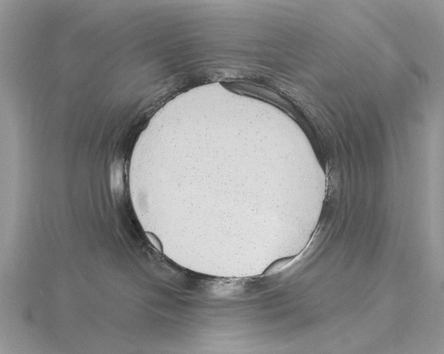 X0000115630094200912081052
