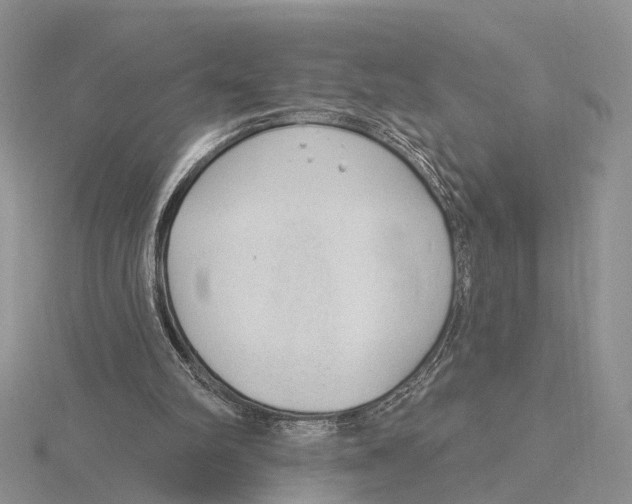 X0000115630102200912081052