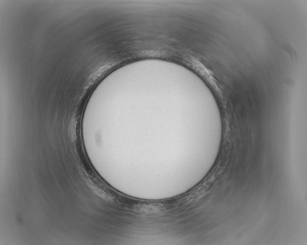 X0000115630106200912081052