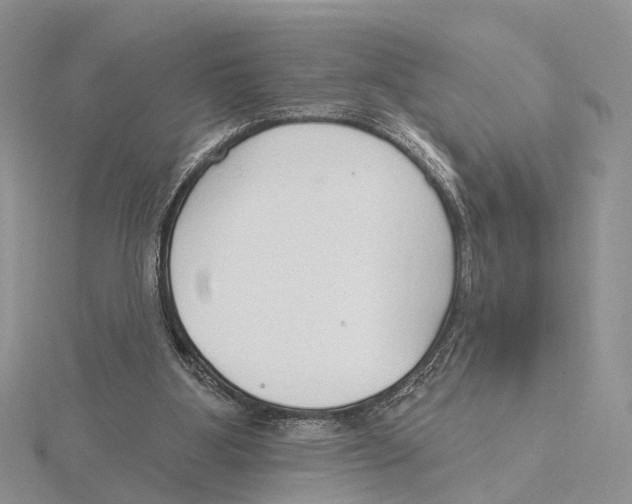 X0000115630107200912081052