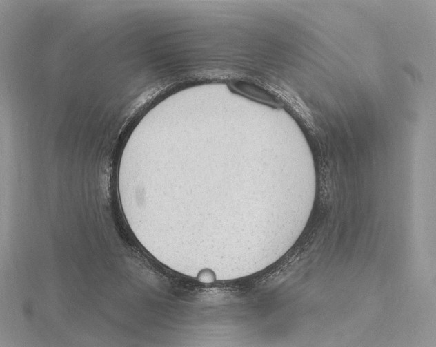 X0000115630111200912081052
