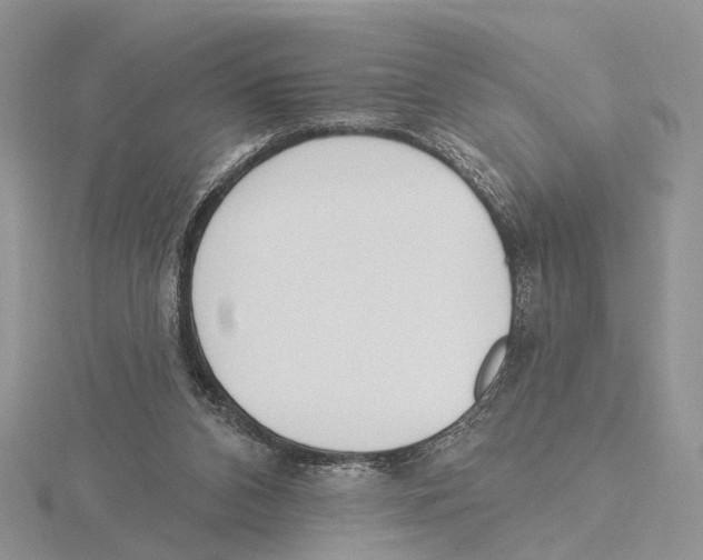 X0000115630112200912081052