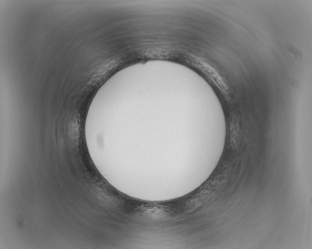 X0000115630113200912081052