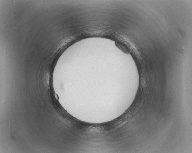 X0000115630115200912081052